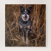 Australischer Rinderhund Heeler Puzzle (Vertikal)