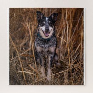 Australischer Rinderhund Heeler Puzzle