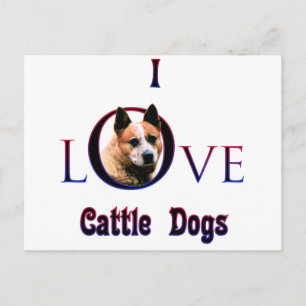 Australischer Rinderhund I-Liebe Postkarte