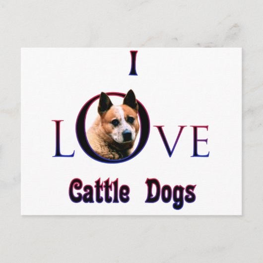 Australischer Rinderhund I-Liebe Postkarte (Vorderseite)