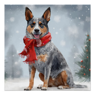 Australischer Rinderhund im Schnee Weihnachten Poster