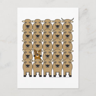 Australischer Rinderhund in der Herde Postkarte