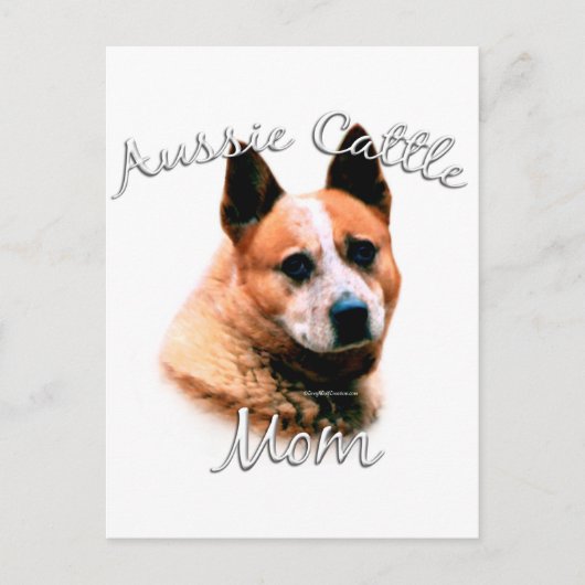 Australischer Rinderhund Mama 2 Postkarte (Vorderseite)