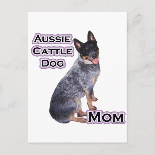 Australischer Rinderhund Mama 4 Postkarte (Vorderseite)