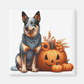 Australischer Rinderhund neben einem Jack-O-Lanter Magnet (Vorne)