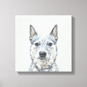 Australischer Rinderhund - Niedliche Original Dog  Leinwanddruck