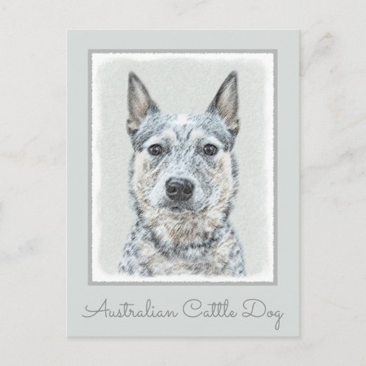 Australischer Rinderhund - Niedliche Original Dog Postkarte (Vorderseite)