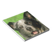 Australischer Rinderhund Notepad Notizblock (angewinkelt)