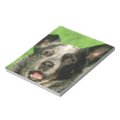 Australischer Rinderhund Notepad Notizblock (Rotiert)
