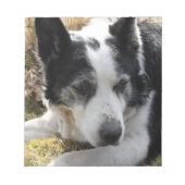 Australischer Rinderhund Notepad Notizblock (Vorderseite)