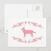 Australischer Rinderhund Postkarte (Vorne/Hinten)