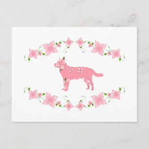 Australischer Rinderhund Postkarte