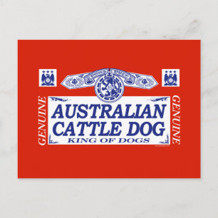 Australischer Rinderhund Postkarte
