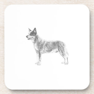 Australischer Rinderhund Untersetzer