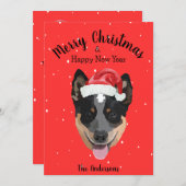 Australischer Rinderhund Weihnachten (Vorne/Hinten)