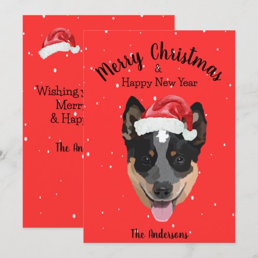 Australischer Rinderhund Weihnachten (Vorne/Hinten)