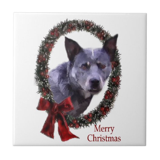 Australischer Rinderhund Weihnachten Fliese (Vorderseite)