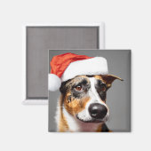 Australischer Rinderhund Weihnachten Magnet (Vorderseite/Rückseite)