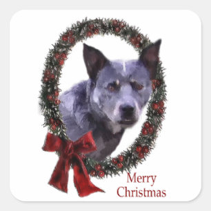 Australischer Rinderhund Weihnachten Quadratischer Aufkleber