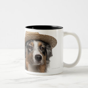 Australischer Schäfer (10 Monate alte) tragendes Zweifarbige Tasse