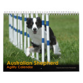 Australischer Schäfer-Agility-Kalender Kalender (Titelbild)