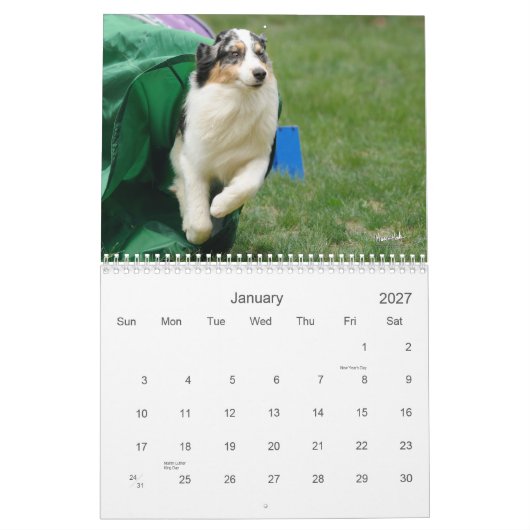 Australischer Schäfer-Agility-Kalender Kalender (Jan 2027)