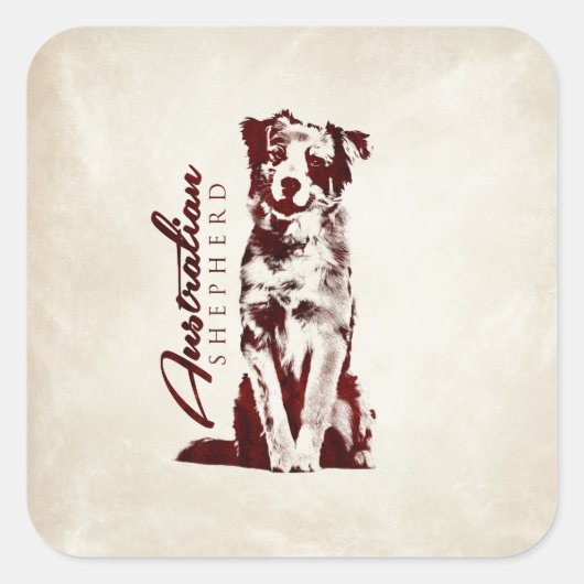 Australischer Schäfer-Australier Quadratischer Aufkleber (Vorderseite)