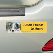 Australischer Schäfer blauer Merle Hund Autoaufkleber (Auf Auto)