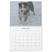 Australischer Schäfer Calander Kalender (Jan 2027)