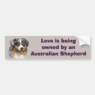 Australischer Schäfer-fabelhafter Autoaufkleber