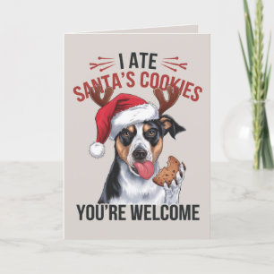Australischer Schäfer Funny Dog Weihnachtskarte Feiertagskarte