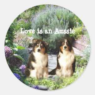 Australischer Schäfer-Garten-Aufkleber Runder Aufkleber