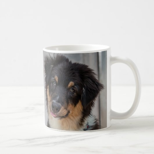Australischer Schäfer-Hund Kaffeetasse (Rechts)