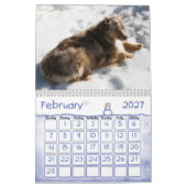 Australischer Schäfer-Kalender Kalender (Feb 2027)