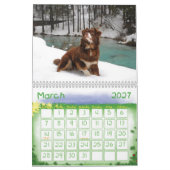 Australischer Schäfer-Kalender Kalender (Mär 2027)