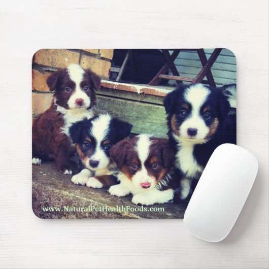Australischer Schäfer-Miniaturwelpe Mousepad (Mit Mouse)