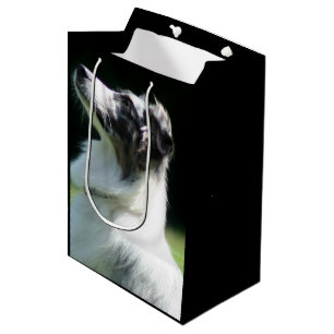 Australischer Schäfer-mittlere Geschenk-Tasche Mittlere Geschenktüte