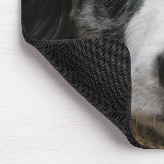 Australischer Schäfer Mousepad (Ecke)