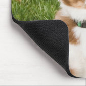 Australischer Schäfer Mousepad (Ecke)