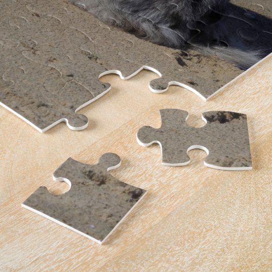 Australischer Schäfer Puzzle (Seite)