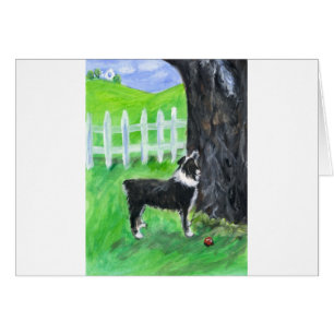 Australischer Schäfer sieht Eichhörnchen