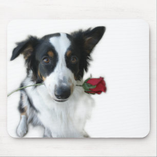 Australischer Schäfer und Rose Mousepad