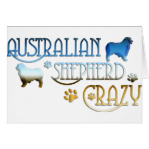 AUSTRALISCHER SCHÄFER VERRÜCKT