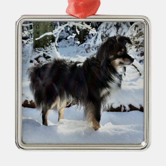 Australischer Schäfer voll im Schnee dritter Ornament Aus Metall (Vorne)