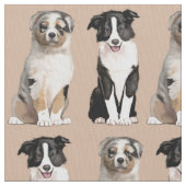 Australischer Schäfer-Welpe und Border-Collie Stoff (Nahaufnahme)