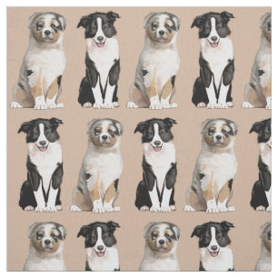 Australischer Schäfer-Welpe und Border-Collie Stoff