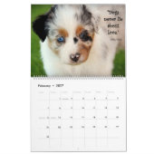 Australischer Schäfer-Welpen-Kalender Kalender (Feb 2027)