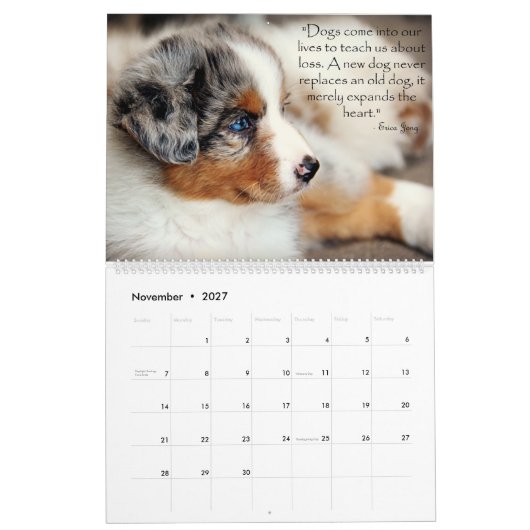 Australischer Schäfer-Welpen-Kalender Kalender (Nov 2027)