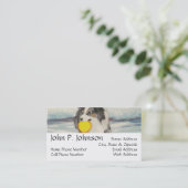 Australischer Schäferfrisbee-Hund Visitenkarte (Stehend Vorderseite)