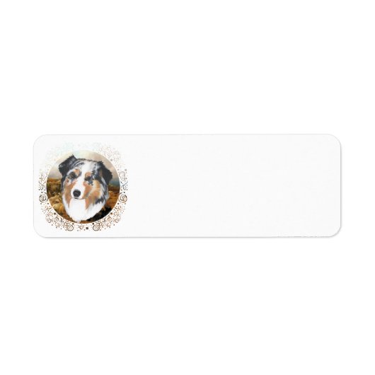 Australischer Schäferhund (Vorne)